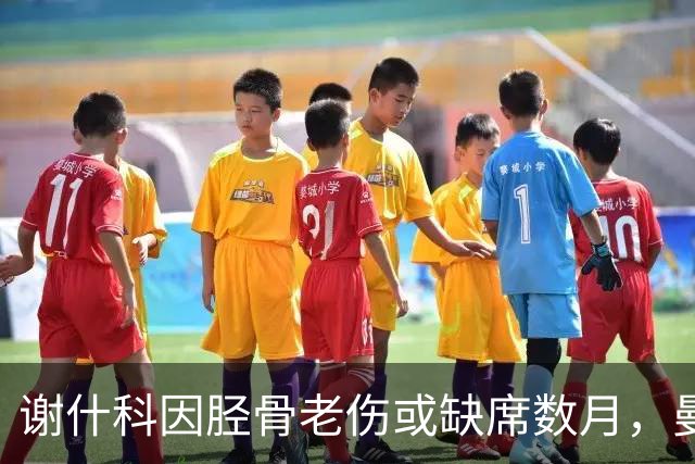 谢什科因胫骨老伤或缺席数月，曼联展开调查